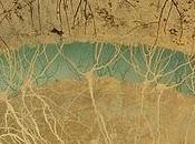 paravento neuroscienziato