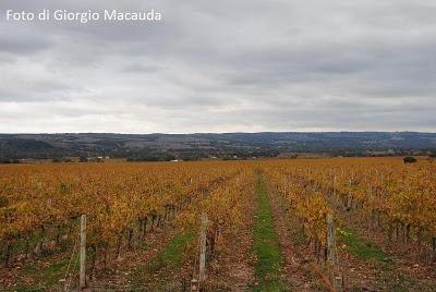 Wine on the road: il racconto LA RICERCA DELLO SHIRAZ PERFETTO di Giorgio Macauda