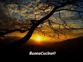 Molto semplici e saporiti…