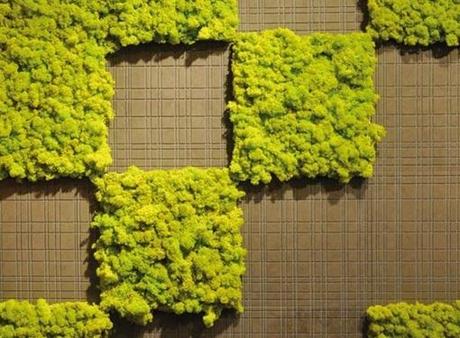 MOSStile: il primo giardino verticale a manutenzione zero