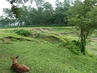 Nepal: over the top of the world