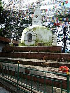 Nepal: over the top of the world