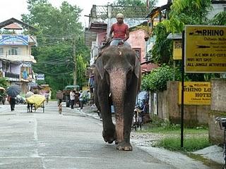 Nepal: over the top of the world