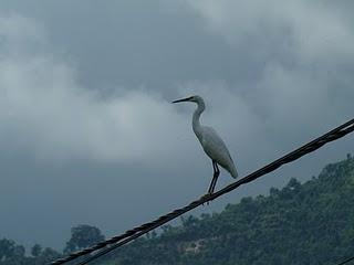 Nepal: over the top of the world