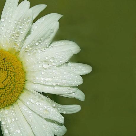 Se il tempo scivolasse senza ferire