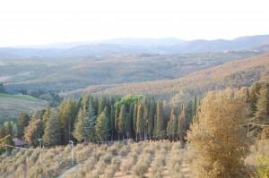 Tour del Chianti e 10 anni di Matrimonio 2/2