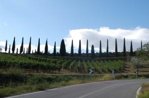 Tour del Chianti e 10 anni di Matrimonio 2/2