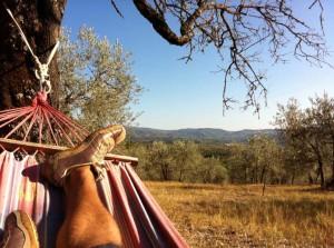 Tour del Chianti e 10 anni di Matrimonio 2/2