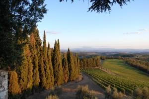 Tour del Chianti e 10 anni di Matrimonio 2/2