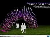 Architetto Giancarlo Zema Urchin