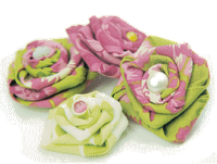 APPLE & CINNAMON......