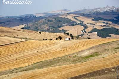 Basilicata on my mind