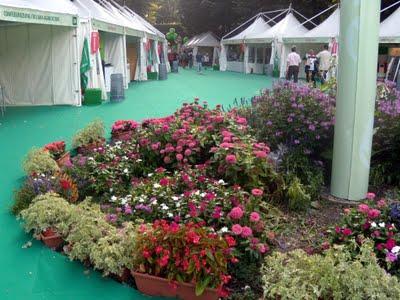 FESTA  NAZIONALE  DELL'  AGRICOLTURA