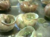 Lumache brodo