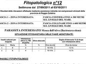 APOR Informa: Bollettino settimanale informazione fitopatologica 12).