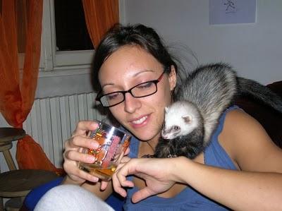 Cute Ferret Sleeve