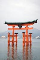 Torii, le porte verso il Cielo