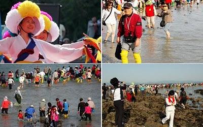 Il Miracolo di Mosè di Jindo Island, Corea del Sud