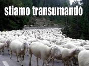 Herta Muller perdono…. stiamo transumando