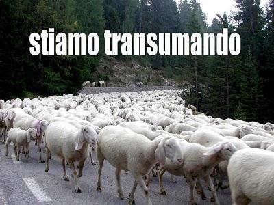 Herta Muller perdono….  stiamo transumando