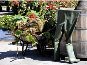 Per ritornare in forma, in estate basta il giardinaggio