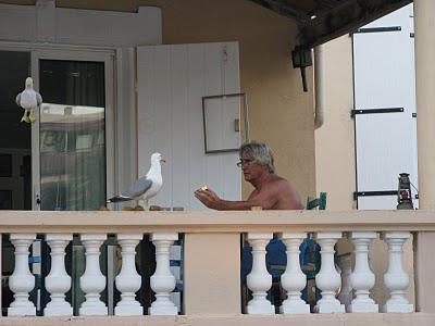 20 Julliet 2010- cosa ho fatto oggi e reportage di una giornata di ordinaria follia chez Rondini