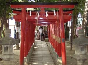 piccolo tempio inari, tokyo