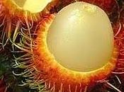 frutta