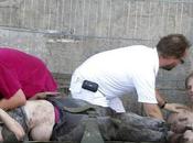 Quando prezzo dell'amore chiama morte!