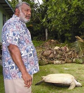 Il programma del WWF Fijiano per la salvaguardia delle tartarughe