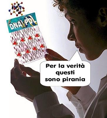 Il DNA del Pdl