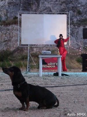 Reportage di un sabato sera da vero cavatore, leggermente brillo,  senza lenti a contatto e autofocus