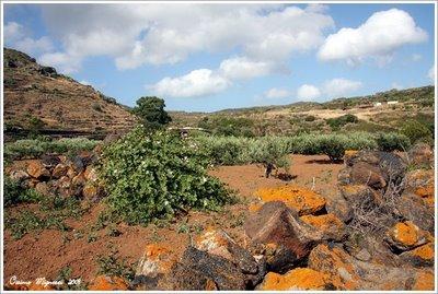 Intervallo post # Pantelleria