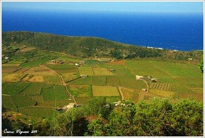 Intervallo post # Pantelleria