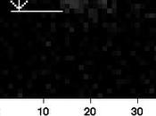 Asteroide potrebbe colpire Terra 2182