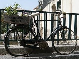 biciclette succulente _ sicilia