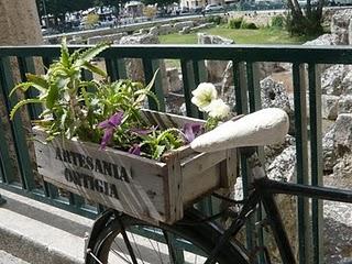 biciclette succulente _ sicilia