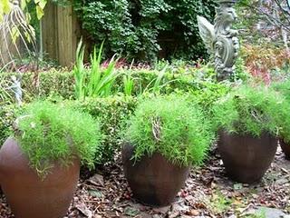 Vasi sempre più simili ad oggetti di design 2