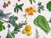 fiori gastronomia: colorati, profumati decisamente saporiti