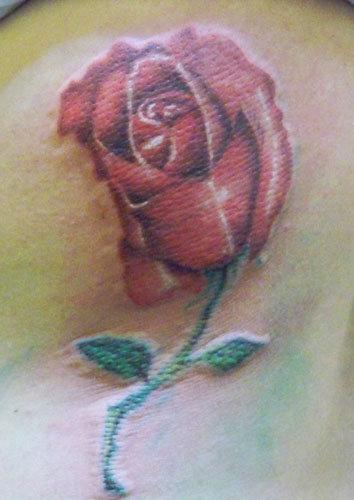 “Rosa tatuata”