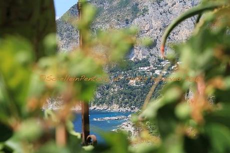 Cilento. Da ammirare. Da annusare. Da gustare.