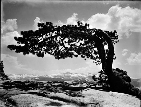 Ansel Adams:nuove foto ritrovate