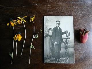 Come essiccare e usare i fiori secchi