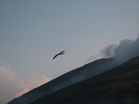 SOGNANDO UN VOLO, CITANDO I NEGRITA