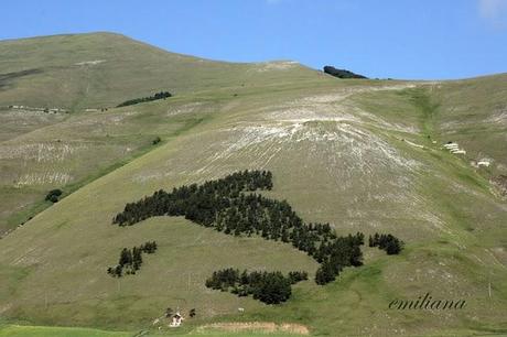 La Fiorita di Castelluccio di Norcia e Uto Ughi