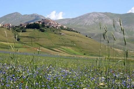 La Fiorita di Castelluccio di Norcia e Uto Ughi