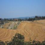 crete senesi