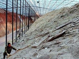 In Cina il più grande cimitero di dinosauri fossili; solo una grande alluvione può averlo formato