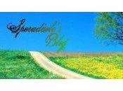 blog come figlio vogliono uccidere