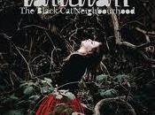 Fallulah Bridges Video Testo Traduzione